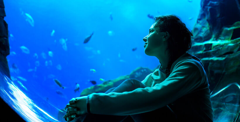 being a scuba diving woman looking out aquarium